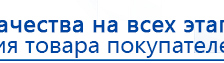 СКЭНАР-1-НТ (исполнение 01 VO) Скэнар Мастер купить в Белгороде, Аппараты Скэнар купить в Белгороде, Медицинский интернет магазин - denaskardio.ru