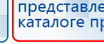 СКЭНАР-1-НТ (исполнение 01 VO) Скэнар Мастер купить в Белгороде, Аппараты Скэнар купить в Белгороде, Медицинский интернет магазин - denaskardio.ru